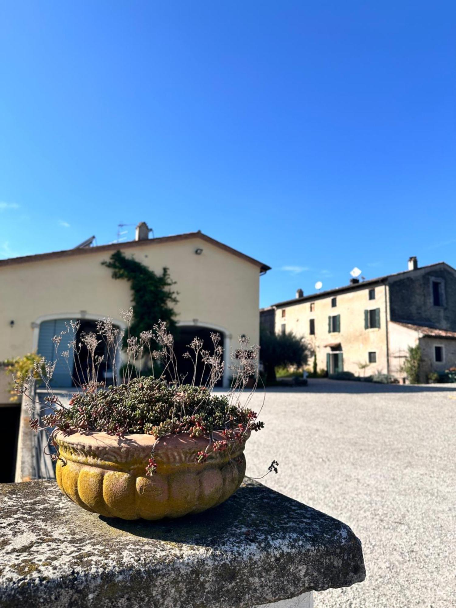Ca Nova Agriturismo Castellaro  Buitenkant foto