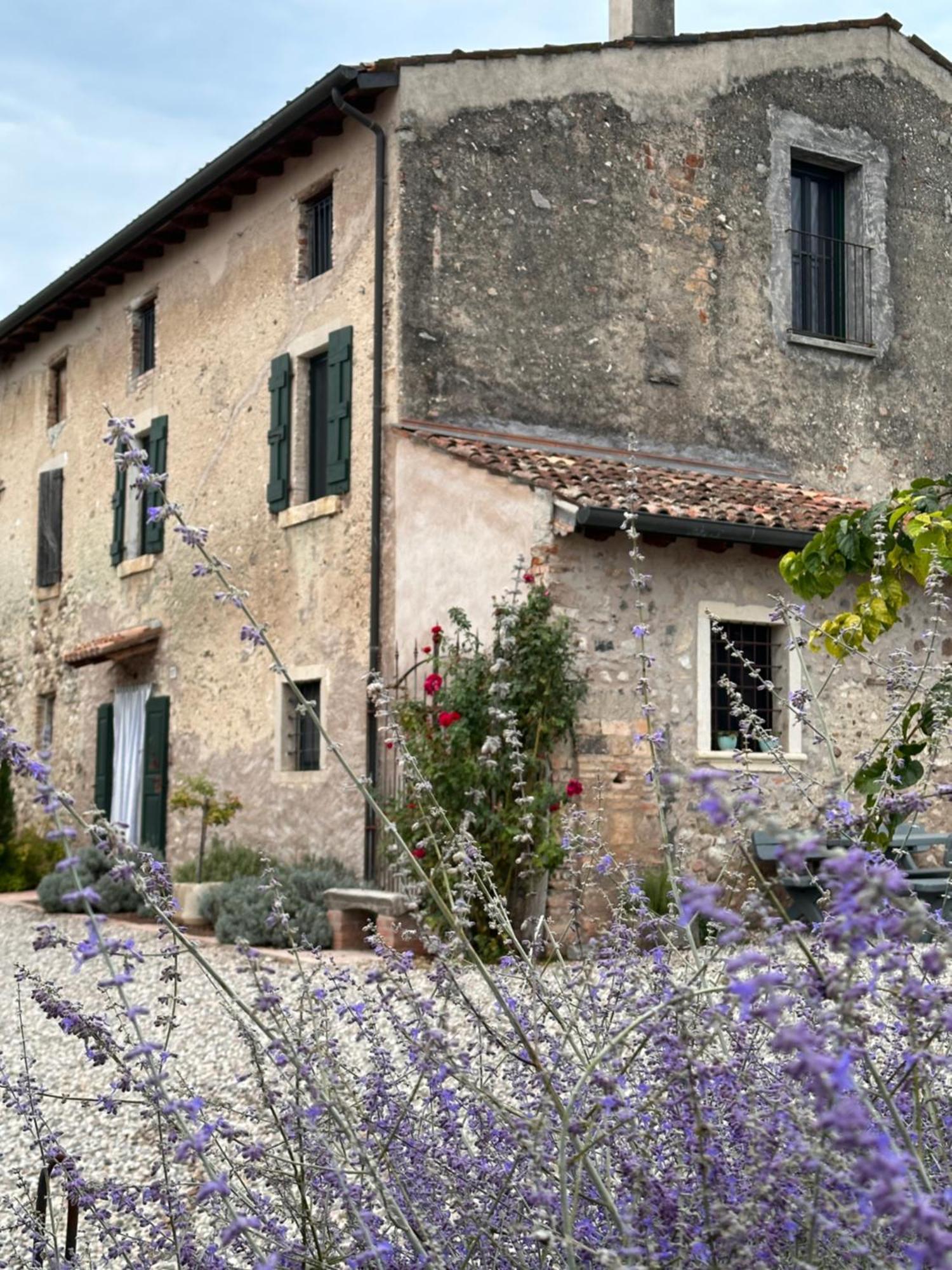 Ca Nova Agriturismo Castellaro  Buitenkant foto